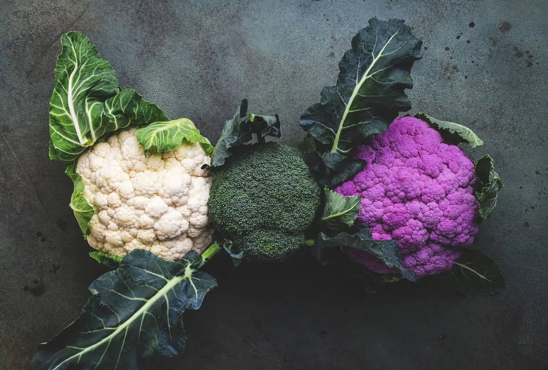 Cruciferous Veggies for A Long Life including cauliflower, broccoli, and purple cauliflower.