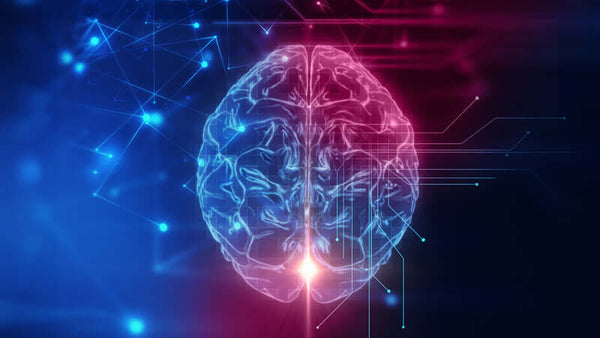 Brain Chemistry