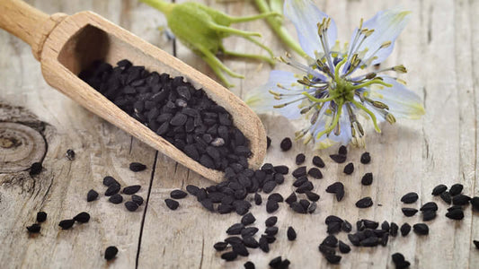 Black Seed - Remedy for Everything but Death