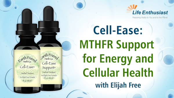 Podcast 369: Cell-Ease and Cell-Ease Support