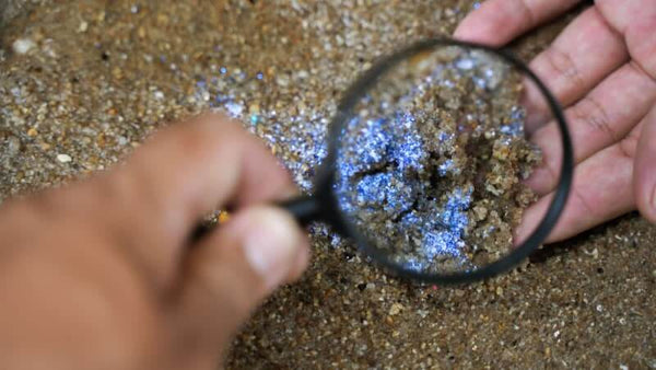 Silica - the Microbes Kiss (pdf)