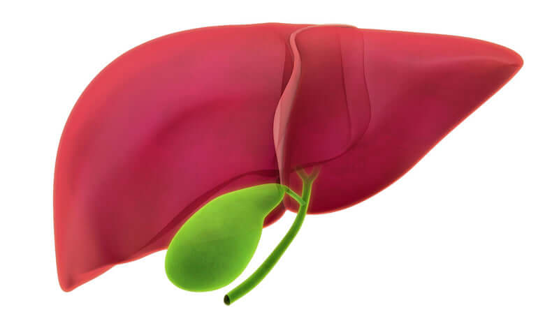 Gilberts Syndrome