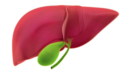 Gilberts Syndrome