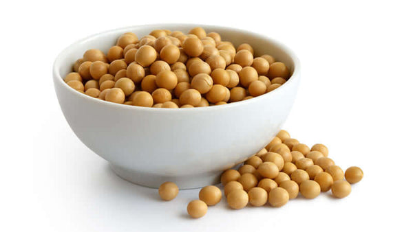 What About Soy?