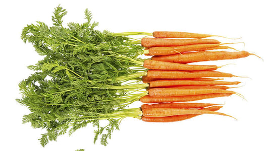 Fresh carrots rich in carotene, showcasing their vibrant orange color and green tops.