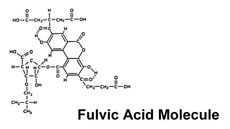 Fulvic Acid Molecule diagram illustrating its chemical structure and components.