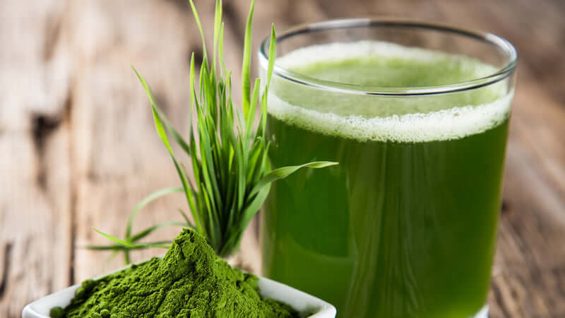 E3 Live Algae Reviews showcasing green drink and powdered algae for health benefits.