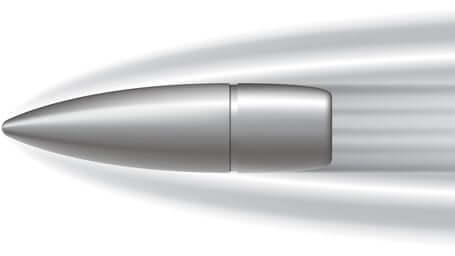 Diatomaceous Earth: The "Silver Bullet"