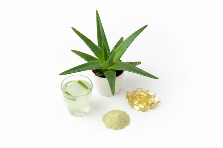 Bioactive Aloe Vera Supplements including a live plant, juice, powder, and capsules for health benefits.