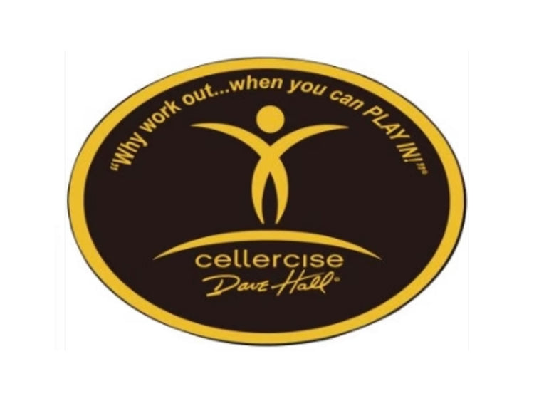 Cellerciser logo with slogan 'why work out...when you can PLAY IN' promoting Rebounder Fitness Trampolines.