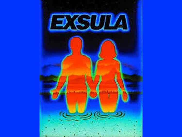 Exsula Bundles Synergistic Superfood Nutrition kits and protocols.