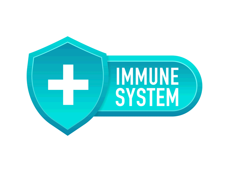 Professional Grade Immune Boosters graphic with shield and plus sign for immune system support
