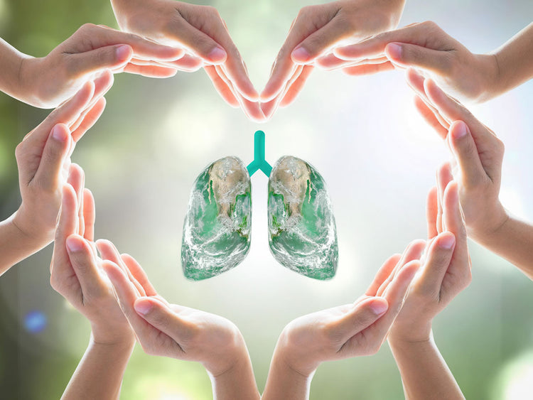 Hands forming a heart around lungs, symbolizing Support for Clear Breathing and lung health.