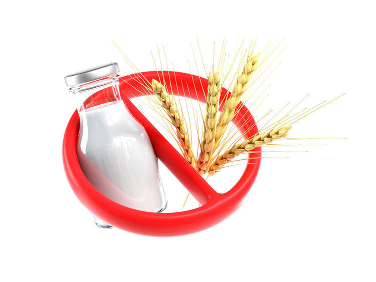 Enzymatic Bioavailability and Digestive Barrier Support supplements.