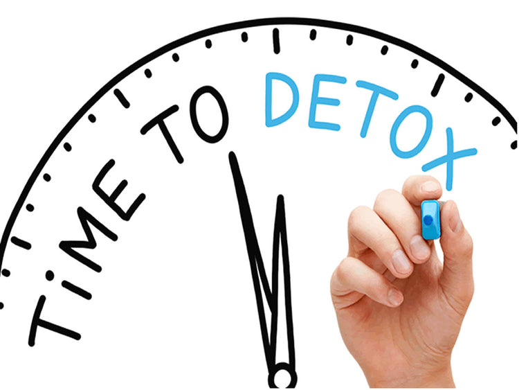 Devices Cleanse and Detoxify Bio Energetic Systemic Technology sauna and tools.