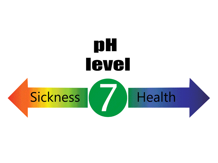 pH level graphic indicating a balance between sickness and health, highlighting the importance of Alkaline Support.