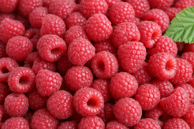 Fresh raspberries, a vibrant source of ellagitannins, specialized antioxidant for rejuvenation.