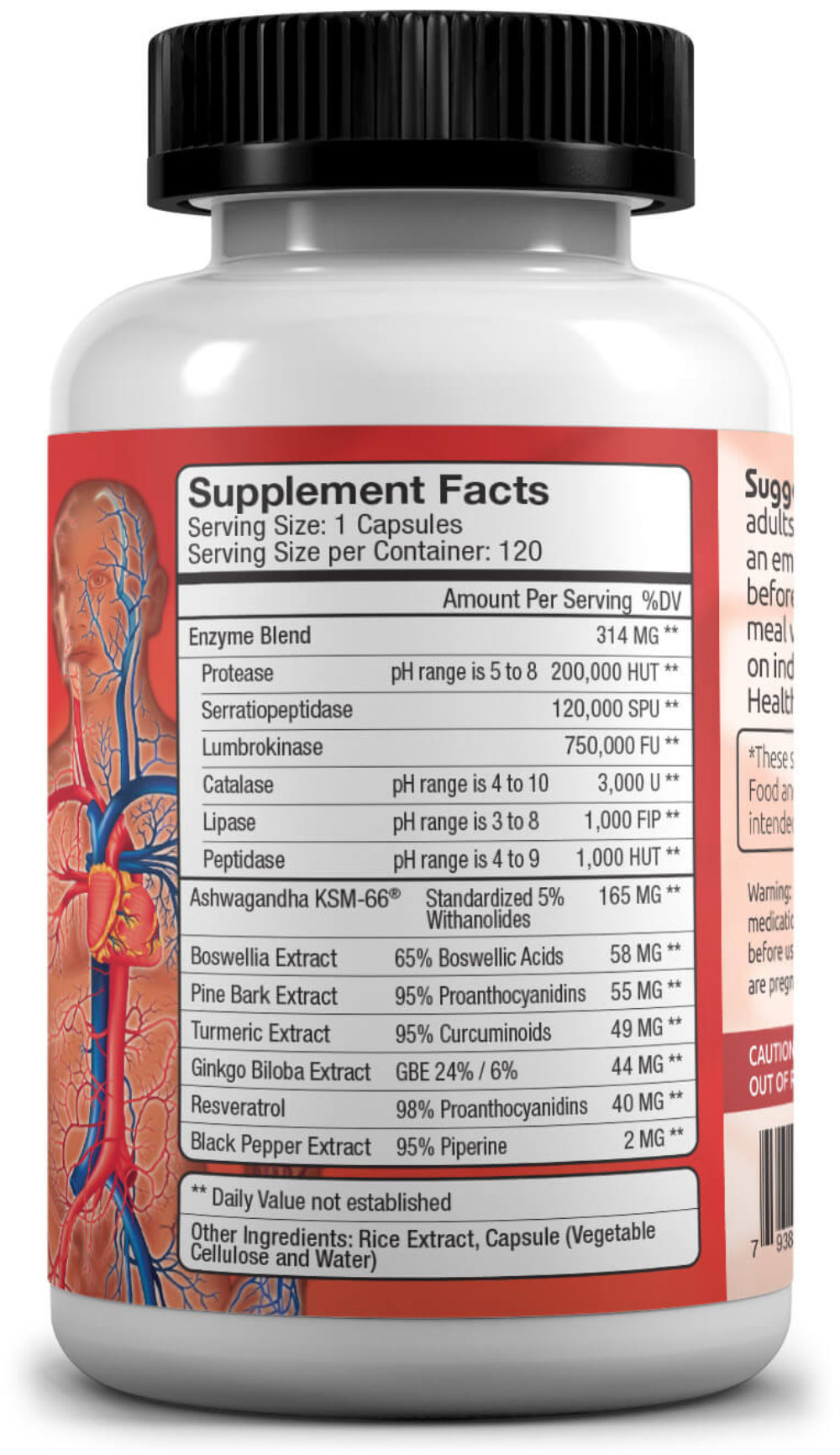 Cardio Support Supplement bottle with label showing 'Supplement Facts' and an illustration of a digestive system.
