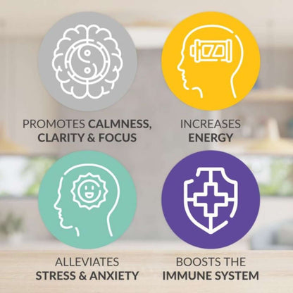 EMPowerplus Methylated Advanced benefits illustration promoting calmness, energy, stress relief, and immune support.