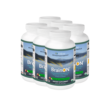E3 BrainON Fresh Frozen - 6 pack dietary supplement bottles for increased focus and mental performance.