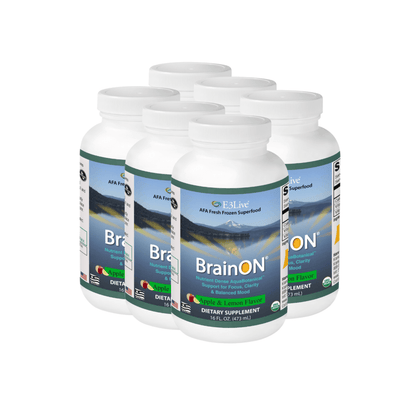 E3 BrainON Fresh Frozen - 6 pack dietary supplement bottles for increased focus and mental performance.