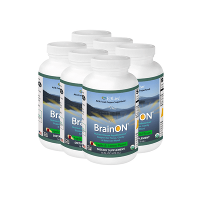 E3 BrainON Fresh Frozen - 6 pack dietary supplement bottles for increased focus and mental performance.