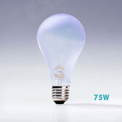 Chromalux Full Spectrum Frosted Bulbs shining with a soft glow, showcasing its 75W power and unique design.