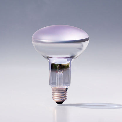 Chromalux Full Spectrum Frosted Bulbs shown from a side angle, featuring a unique glass design and vibrant illumination.