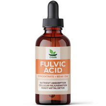 Exsula Minerals Fulvic Acid Organic Trace Mineral Concentrate 60ml bottle for nutrient absorption and detox.