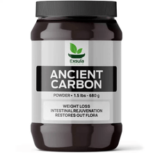 Exsula Minerals Ancient Carbon - Bioavailable Ancient Carbonaceous Matrix, 1.5 lbs powder for weight loss and gut health.