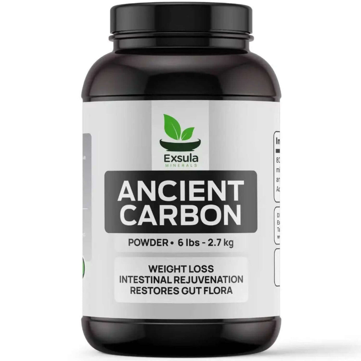 Exsula Ancient Carbon - Bioavailable Ancient Carbonaceous Matrix in a 6 lbs container for gut health and mineral support.