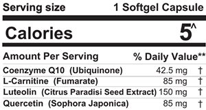 Nutritional label for FibroProtek with Coenzyme Q10, L-Carnitine, luteolin, and quercetin for neuromuscular support.