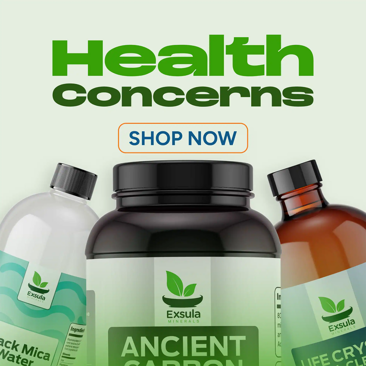 Health Concerns category banner  and health supplement products with Exsula branding on a light green background