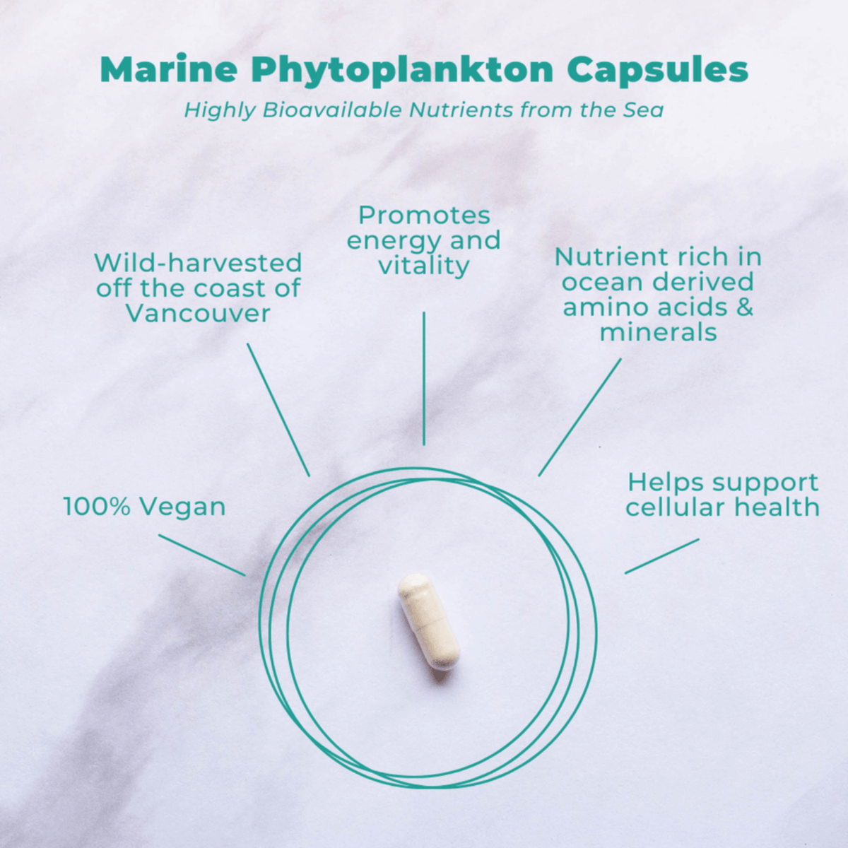 Marine Phytoplankton for Cellular Nutrition and Energy capsules showcasing nutrients for energy, vitality, and cellular health.