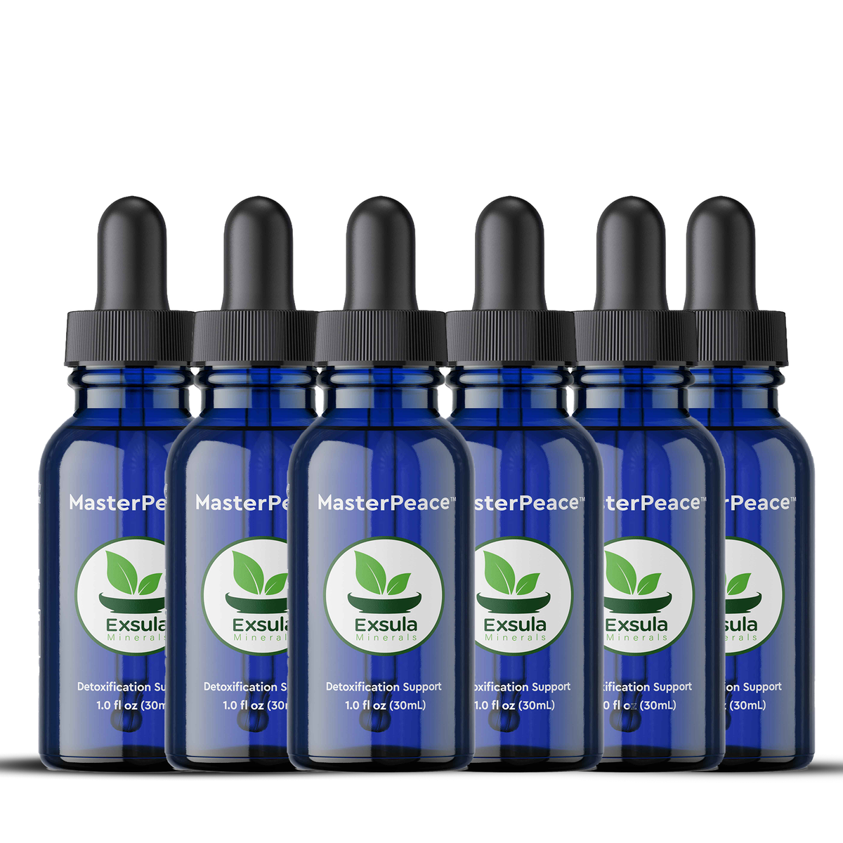 Pack of 6 MasterPeace Zeolite Detox Supplement dropper bottles