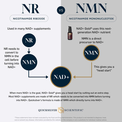 Comparison of NR and NMN for NAD+ with emphasis on Liposomal NMN and TMG for NAD+ Gold by Quicksilver Scientific.