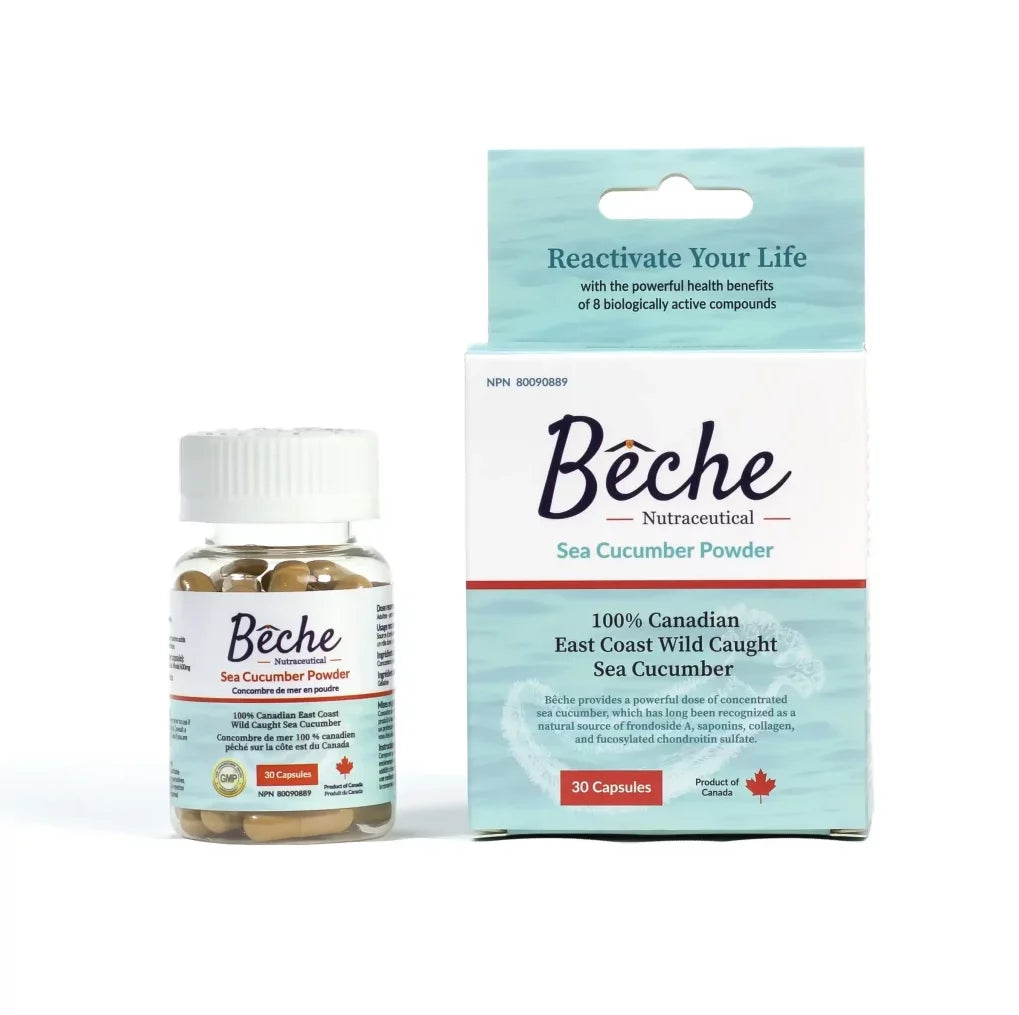 Sea Cucumber Powder dietary supplement bottle and packaging from Beche Nutraceutical, rich in nutrients for health benefits.