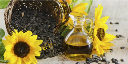 Cold Pressed Sunflower Oil in a glass bottle with sunflower seeds and sunflowers around it