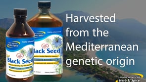 Video about Black Seed Oil and Black Seed Caps. Supplement.