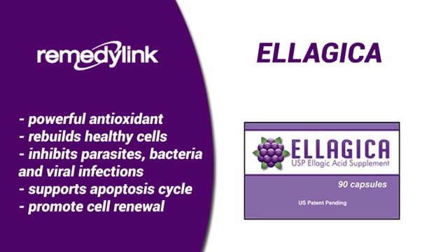 Ellagica Advanced Formula for Cellular Cleansing and Immune Resilience