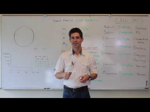 Part 4 Video about Toxic metals, salts and crystals
