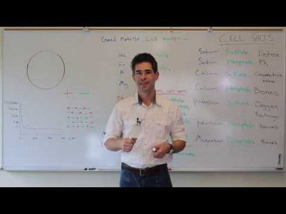 Part 4 Video about Toxic metals, salts and crystals
