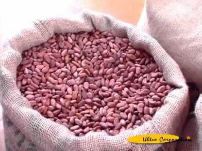 Raw Criollo Cacao Flavanols may Lower Risk of Tumors and Tumor Related Diseases.