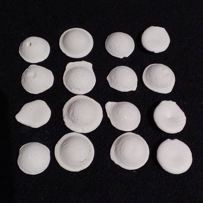 Crystal Pearls in various shapes and sizes on a black background, showcasing their unique textures.